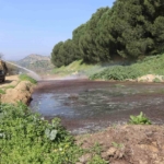 Nazilli Belediyesi sivrisinek ve haşereyle mücadeleye kesintisiz devam ediyor