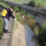 Nazilli Belediyesi sivrisinek ve haşereyle mücadeleye kesintisiz devam ediyor