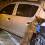 Söke ve Çine’de uyuşturucu operasyonu: 2 şüpheli tutuklandı