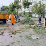 Üzerine ağaç devrilen park halindeki araç zarar gördü