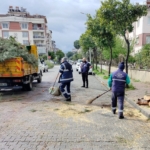 Üzerine ağaç devrilen park halindeki araç zarar gördü