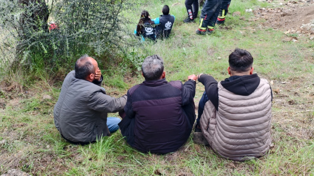 5f5b74d9 e47c 4482 a2ae bc7e1f911984