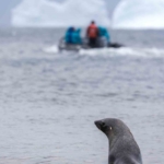 7 yaşındaki Pars, Güney Kutbu’nda Türk bayrağı açtı
