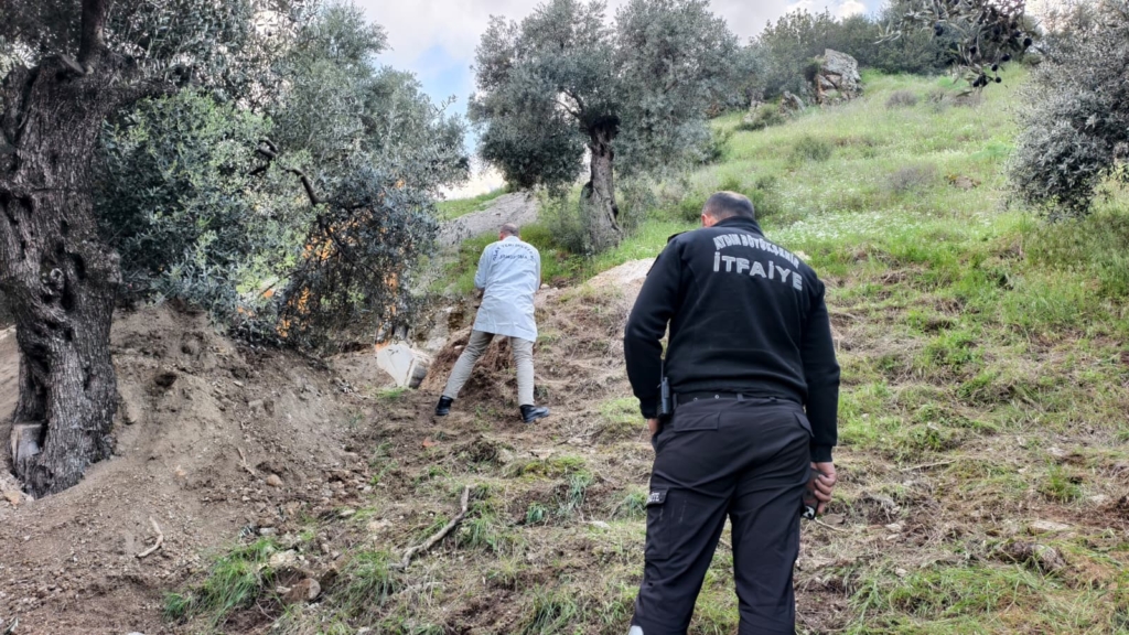 9e4033e9 0913 4060 9dc5 734a24c54d2f