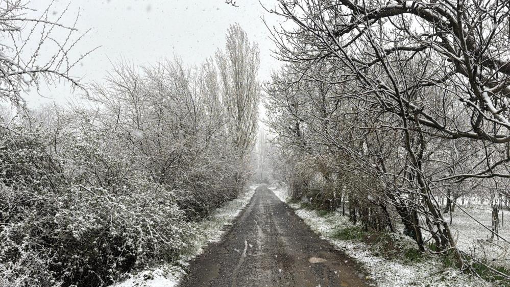 Lapa lapa kar yağdı: Ege'ye beyaz gelinlik… 3 AW680280 03 1