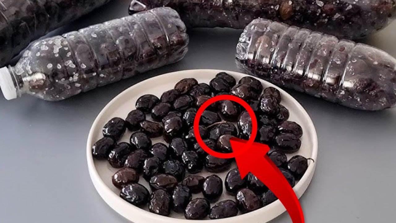 Aydınlı zeytin üreticilerinin sakladığı sır; Bu yöntemle zeytinin acısı hemen geçiyor