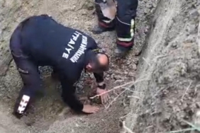 WhatsApp Image 2026-04-10 at 16.19.34