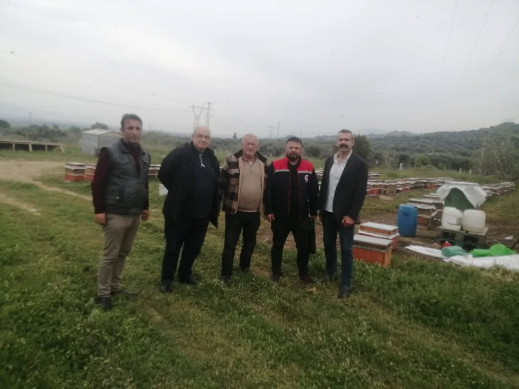 WhatsApp Image 2026 04 16 at 12.22.13