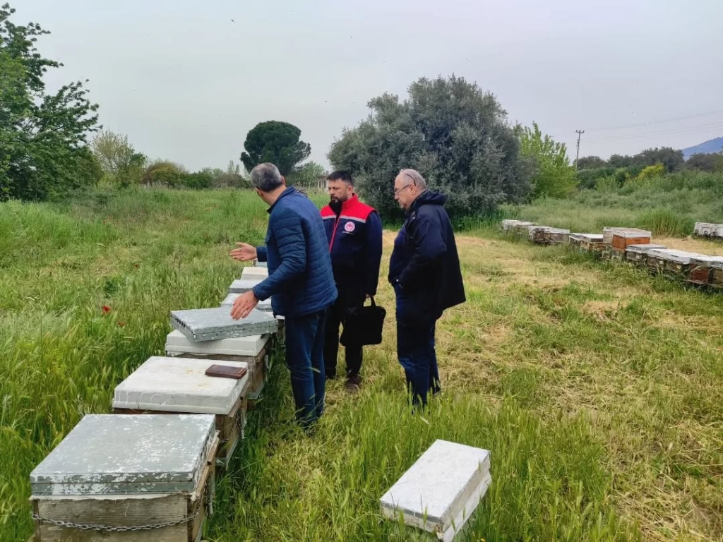 WhatsApp Image 2026 04 16 at 12.22.14