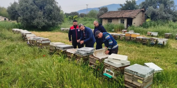 Aydın’daki Ana Arı İşletmeleri Denetlendi