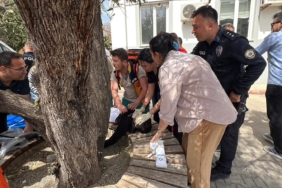 WhatsApp Image 2026-04-16 at 12.46.22