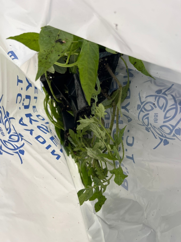 WhatsApp Image 2026 04 17 at 14.35.41 1