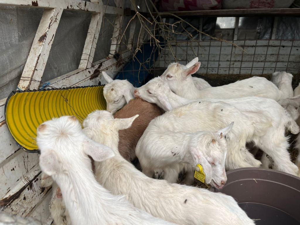 WhatsApp Image 2026 04 17 at 16.01.24 1