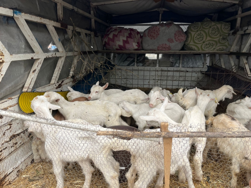 WhatsApp Image 2026 04 17 at 16.01.24