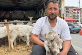 WhatsApp Image 2026-04-17 at 16.01.25