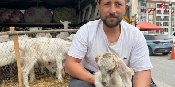 Çanakkale’den getirdiği oğlakları İncirliova’da kaçırdı