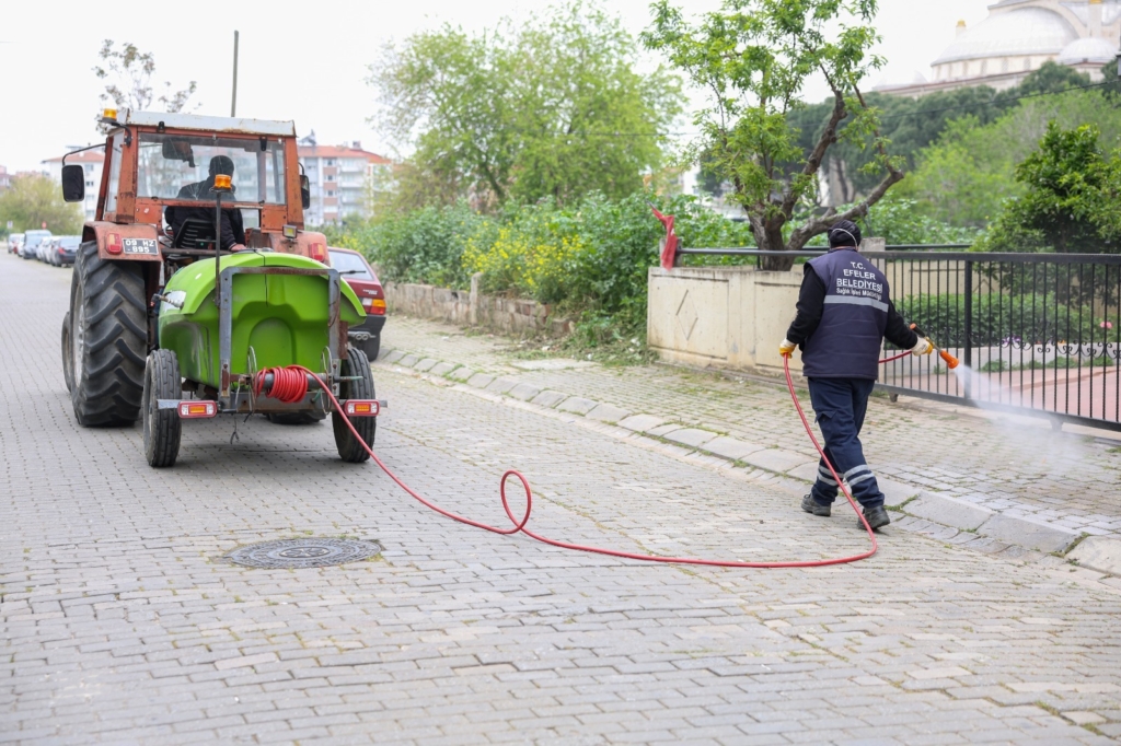 WhatsApp Image 2026 04 20 at 11.34.52