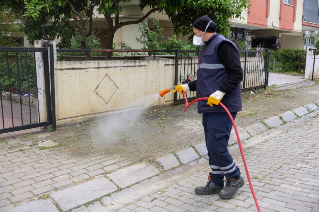 WhatsApp Image 2026 04 20 at 11.34.52 2