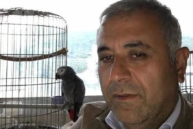 WhatsApp Image 2026-04-20 at 11.46.01