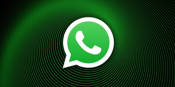WhatsApp paralı oluyor: İşte plus sürümü
