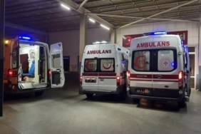 WhatsApp Image 2026-04-20 at 16.46.36