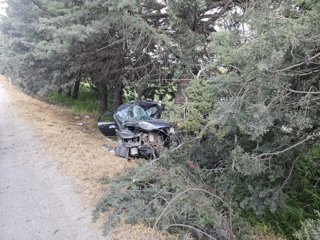 WhatsApp Image 2026 04 22 at 11.35.43