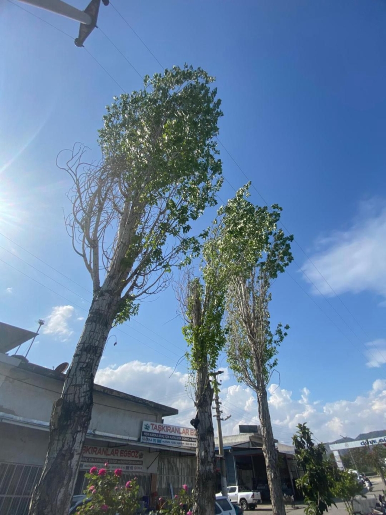 WhatsApp Image 2026 04 22 at 17.29.01