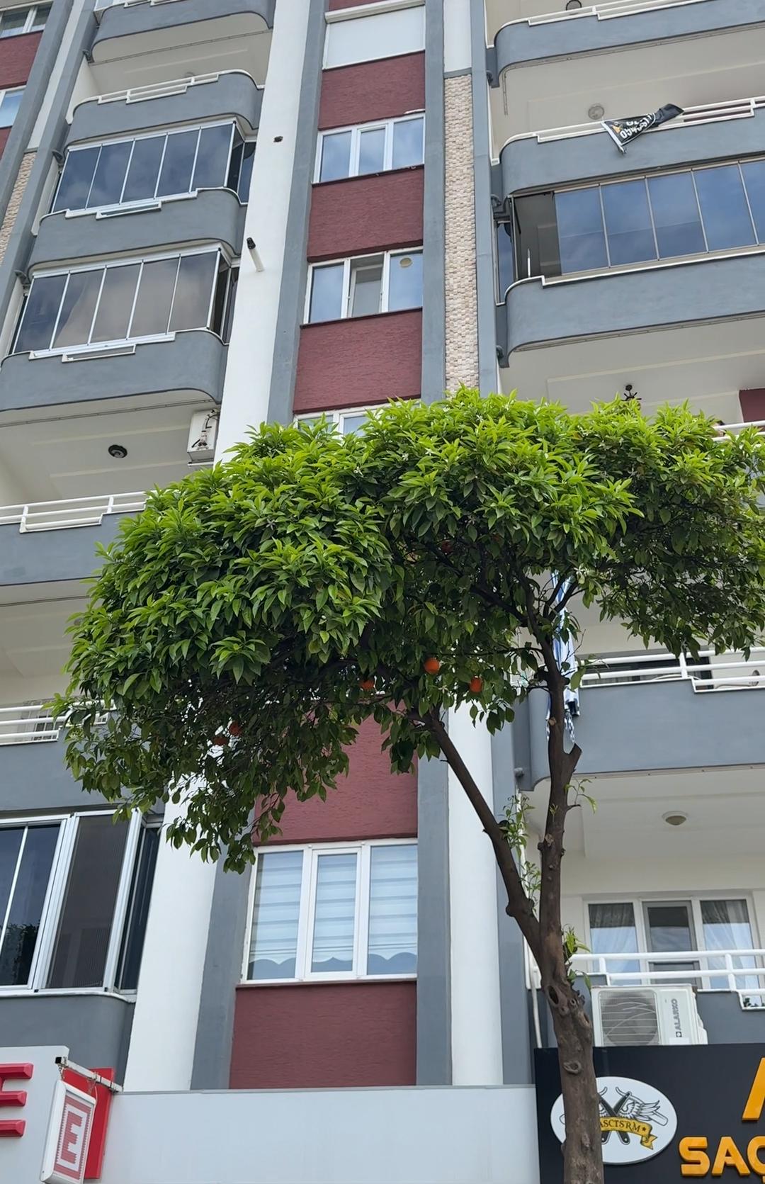 Aydın’da 80 yaşındaki adam apartmanda ölü bulundu!