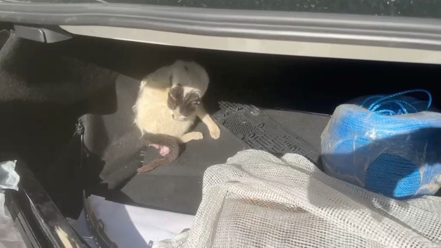 WhatsApp Image 2026 04 25 at 12.57.52