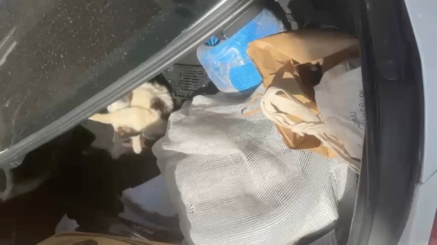 WhatsApp Image 2026 04 25 at 12.57.53