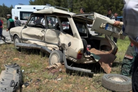 WhatsApp Image 2026-04-27 at 17.12.39