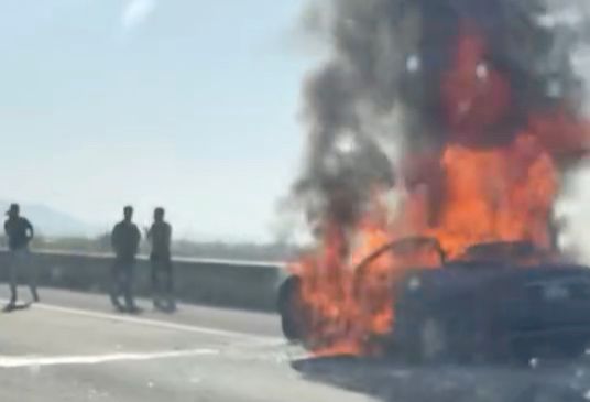 WhatsApp Image 2026 04 28 at 11.51.44