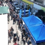 Aydın Büyükşehir Belediyesi Söke’de binlerce fideyi vatandaşlarla buluşturdu