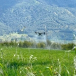 Aydın Büyükşehir tarıma destek oluyor