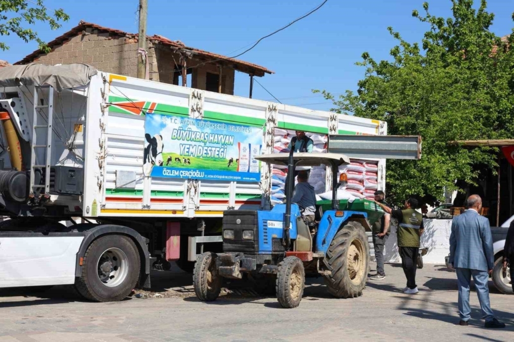 Aydın Büyükşehir’den Germencik’te küçük üreticilere yem desteği 2 aydin buyuksehirden germencikte kucuk ureticilere yem destegi 3f8c504fa59c