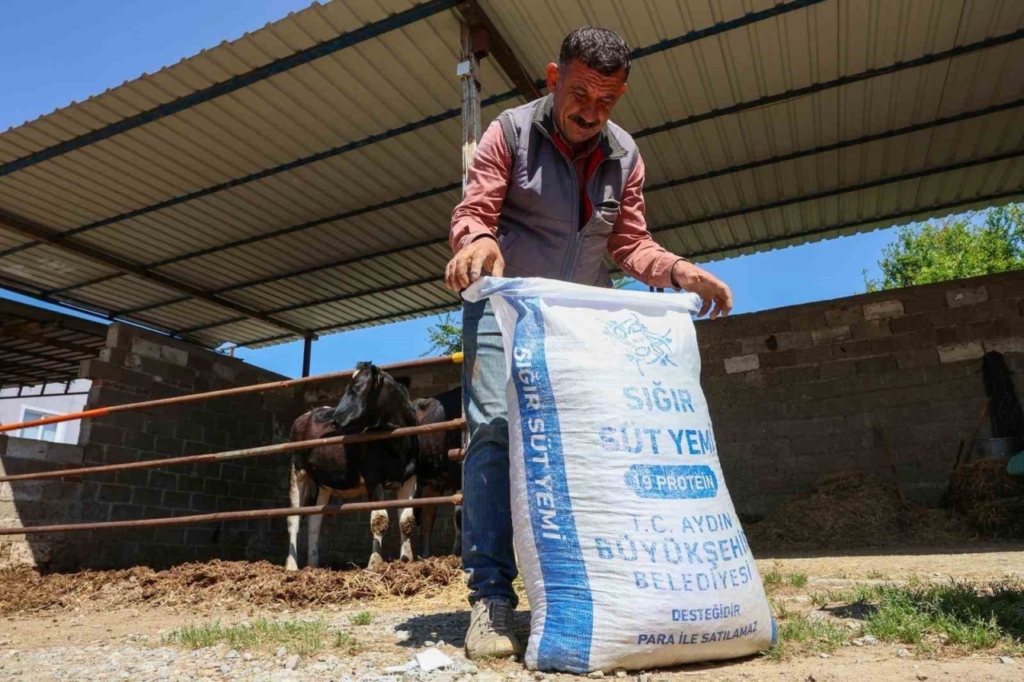 Aydın Büyükşehir’den Germencik’te küçük üreticilere yem desteği 3 aydin buyuksehirden germencikte kucuk ureticilere yem destegi 458d97b82f06