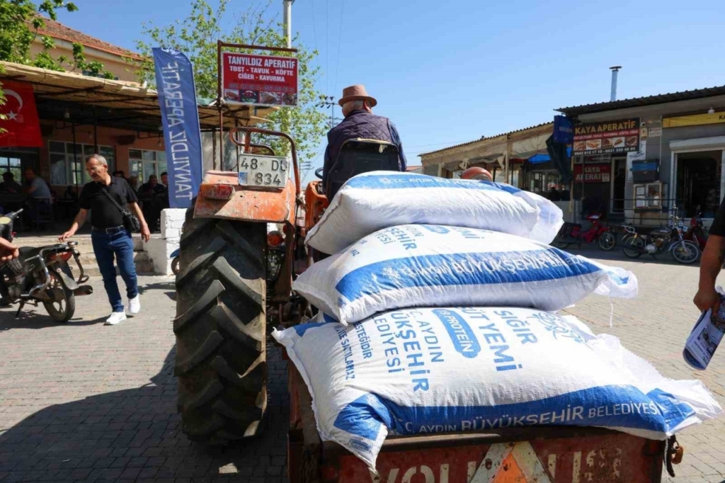Aydın Büyükşehir’den Germencik’te küçük üreticilere yem desteği 4 aydin buyuksehirden germencikte kucuk ureticilere yem destegi 5226f8a13216