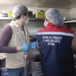 Aydın’da 11 ton süt ürünü imha edildi