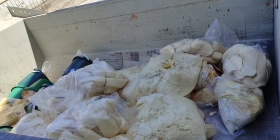 Aydın’da 11 ton süt ürünü imha edildi!