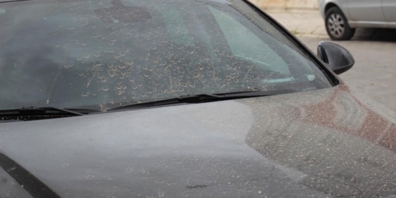 Aydın’da toz taşınımı bekleniyor