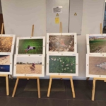 Bereketin yüzyılı fotoğraflarla anlatılacak