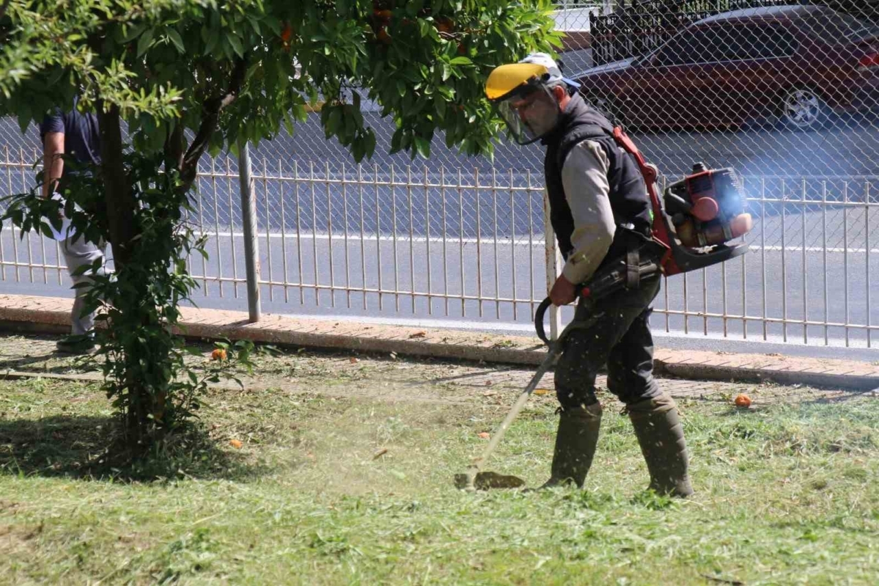 bozdoganda cevre duzenleme calismalari suruyor 0efd1112b625