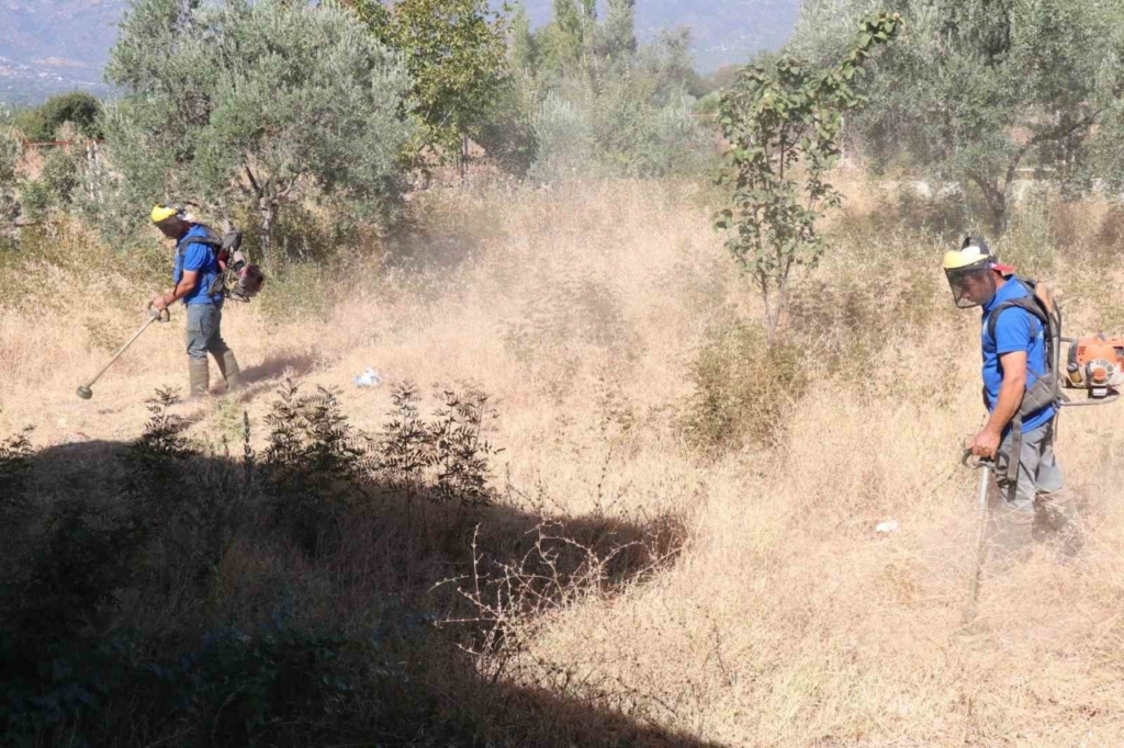 bozdoganda cevre duzenleme calismalari suruyor 9fcd598eb7bf