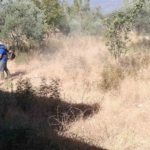 Bozdoğan’da çevre düzenleme çalışmaları sürüyor