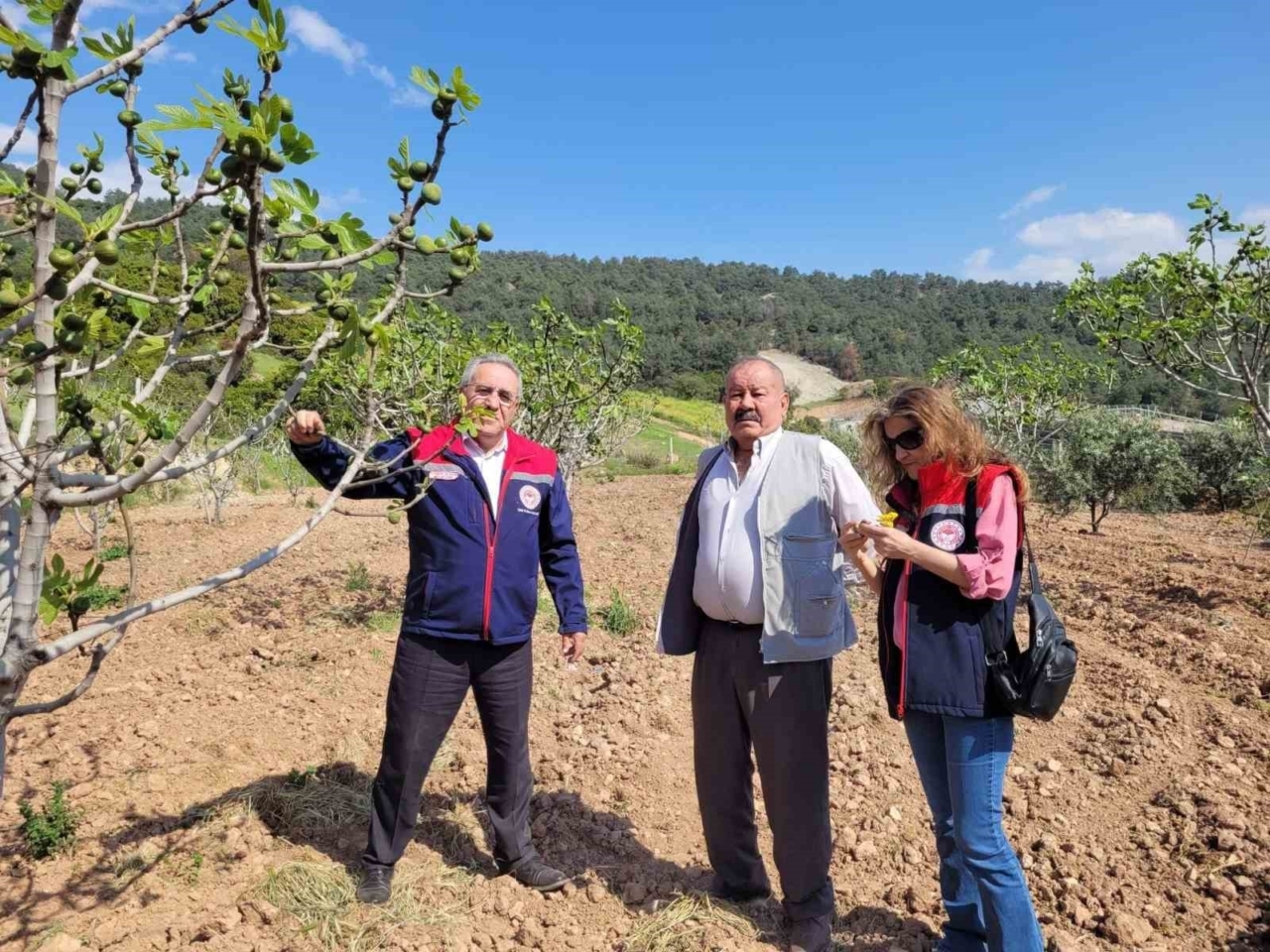 Buharkent’te ilek bahçeleri kontrol edildi 1 buharkentte ilek bahceleri kontrol edildi 100b32c79407