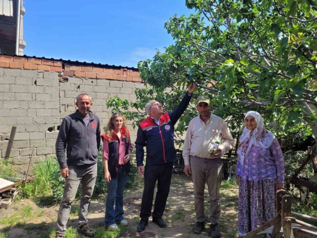 buharkentte ilek bahceleri kontrol edildi 4a63062b4de6
