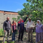 Buharkent’te ilek bahçeleri kontrol edildi
