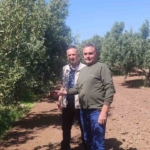 Didim’de zeytin üreticilerine zararlı uyarısı