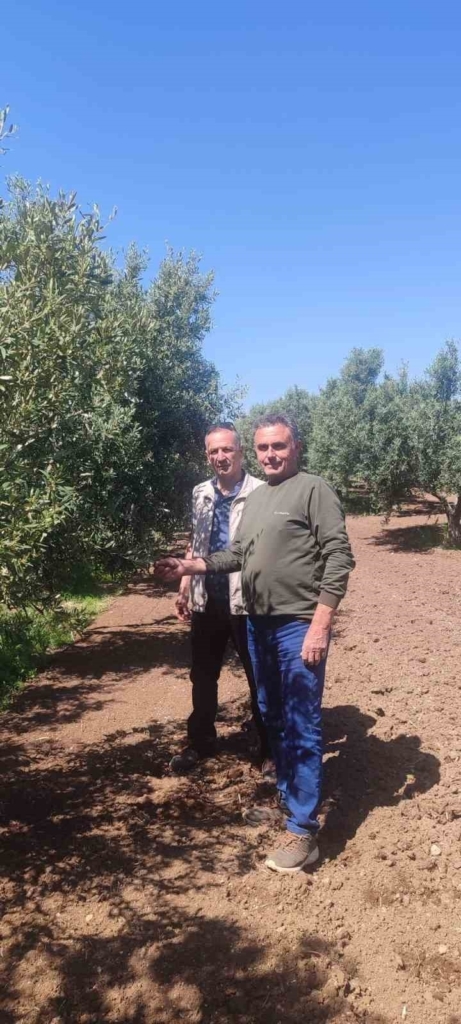 didimde zeytin ureticilerine zararli uyarisi 23376c3eb477