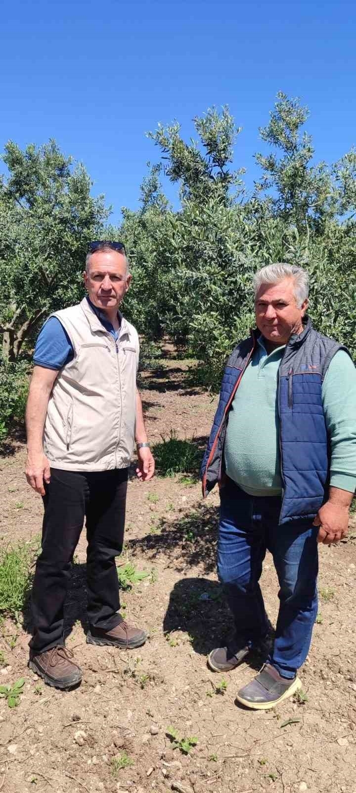 didimde zeytin ureticilerine zararli uyarisi 9b97cfc27a1b